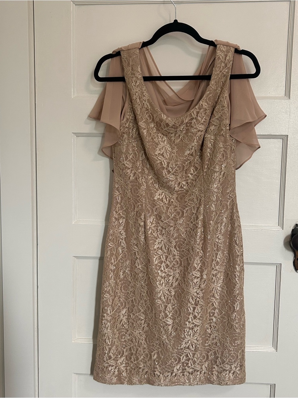 Elegant Lace Overlay Cold-Shoulder Dress in Blush